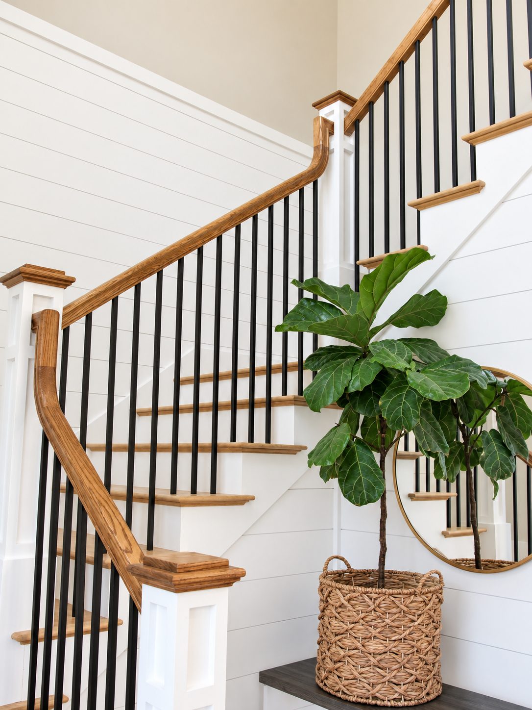 Staircase with fiddle-leaf fig at the newel